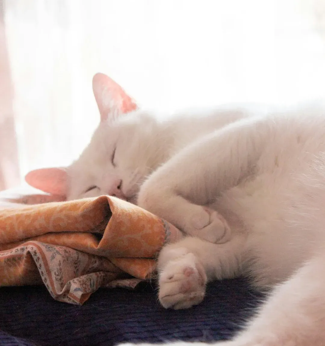 Your Clothes Smell Like “Home Base” When You’re Away (Image Credits: Unsplash)