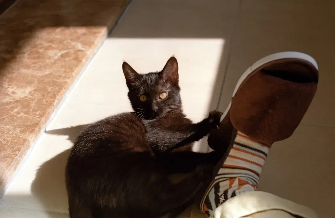 When It Signals Something Else Entirely (Image Credits: Unsplash)