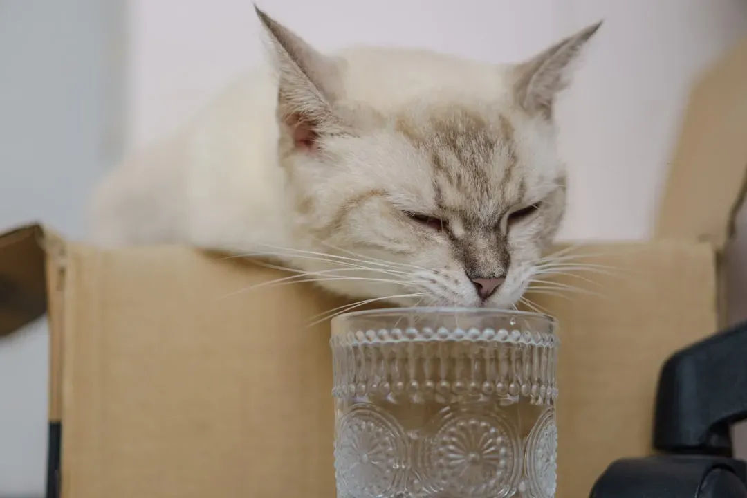 Elevation Matters More Than You'd Think (Image Credits: Unsplash)