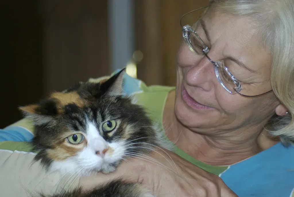 The verdict on mom's magnetic pull (mikerzimmerman, Flickr, CC BY 2.0)