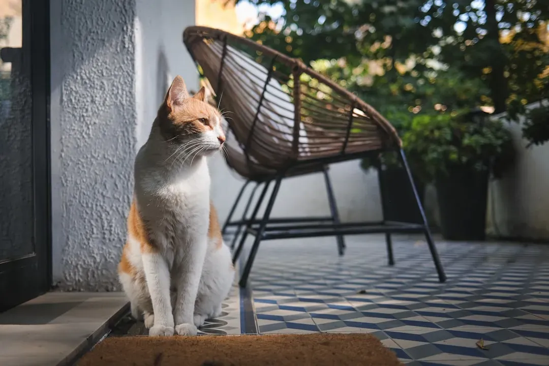 Why Vitamin D Doesn't Actually Matter Here (Image Credits: Unsplash)