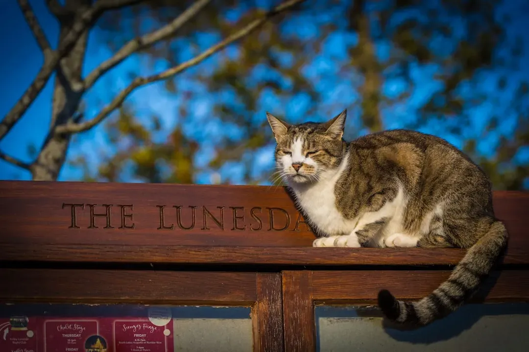 You're Disrupting Their Routine Without Warning (Image Credits: Unsplash)