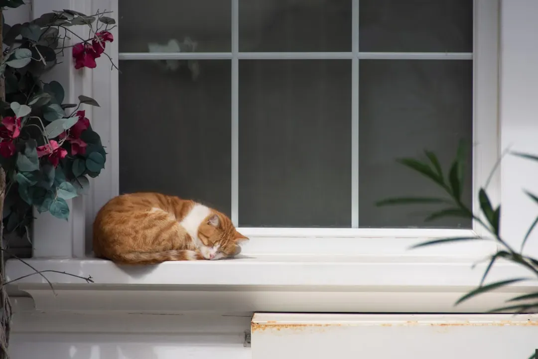 #3 They've found a new favorite hiding or resting spot (Image Credits: Unsplash)