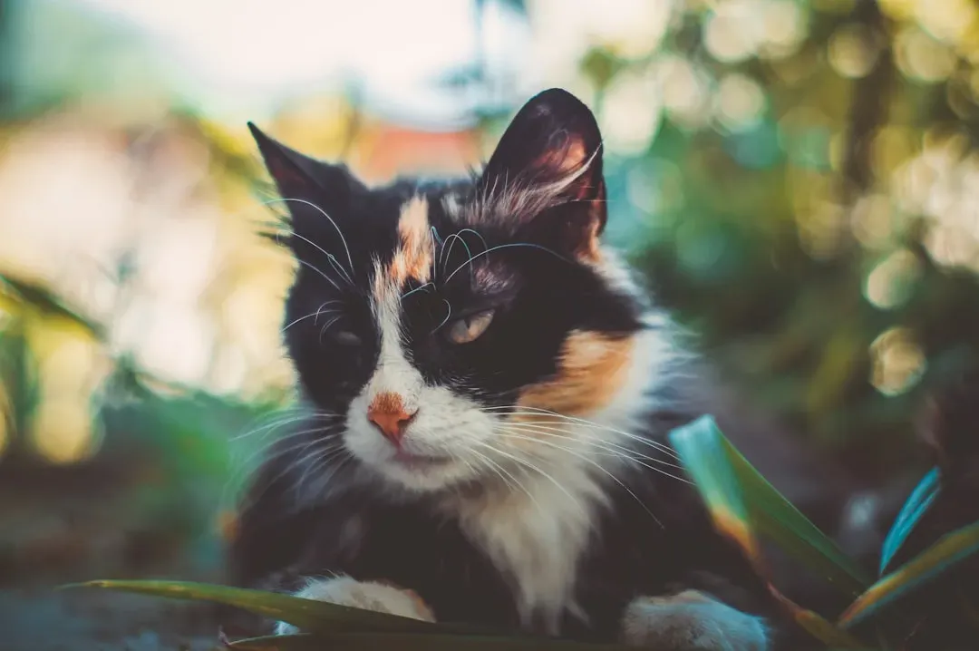 Conclusion (Image Credits: Unsplash)