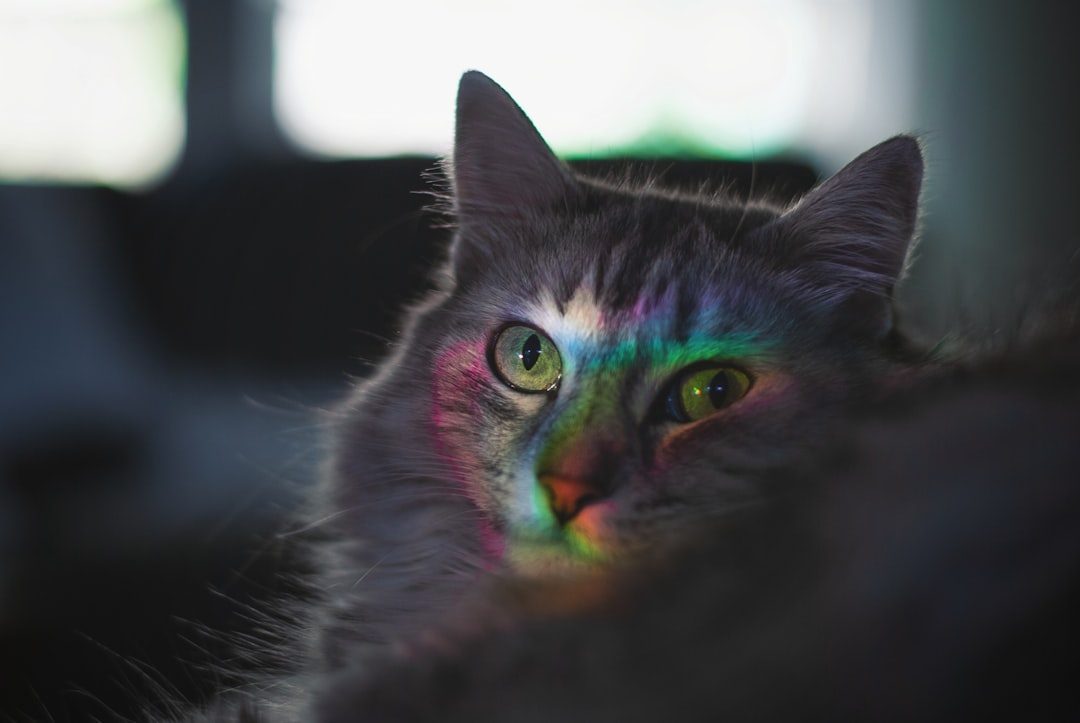 The Ultraviolet Revelation That Changes Everything (Image Credits: Unsplash)