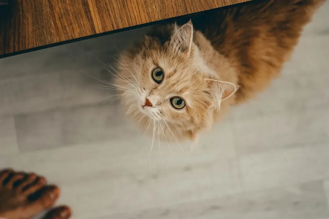 Conclusion: You Are Always Being Evaluated (Image Credits: Unsplash)