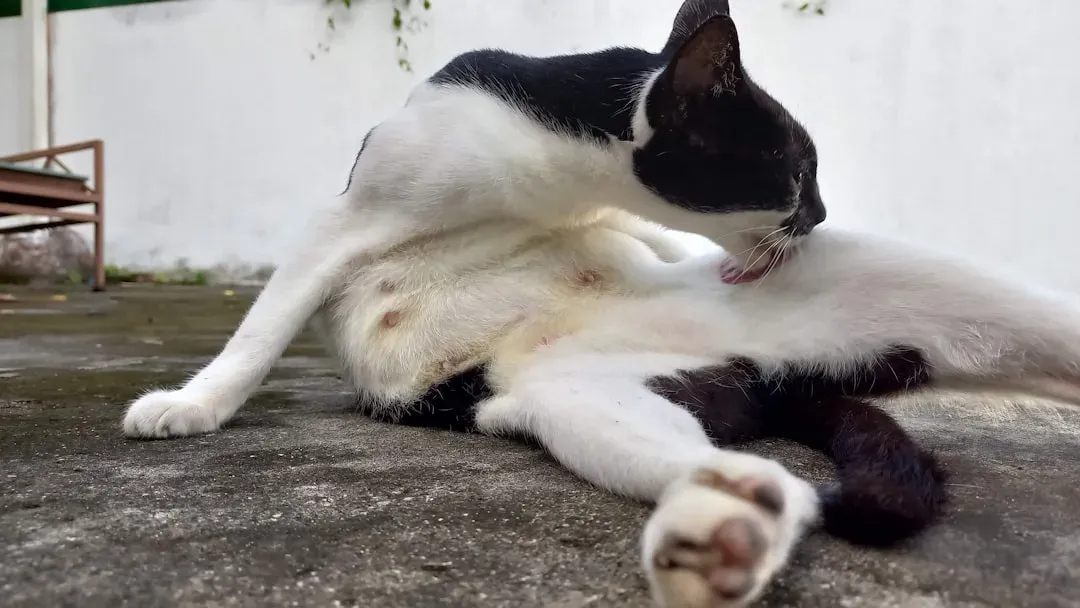 Subtle Body Language of Superiority (Image Credits: Unsplash)