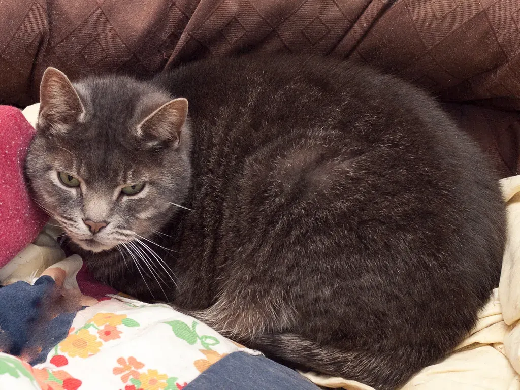 Conclusion (Image Credits: Flickr)