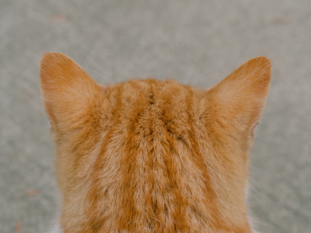 Presenting Their Backside (Image Credits: Unsplash)