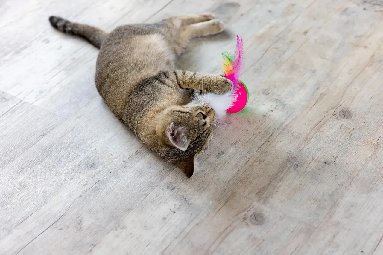 #10 - Playing Openly, Even With You Watching (Image Credits: Pixabay)