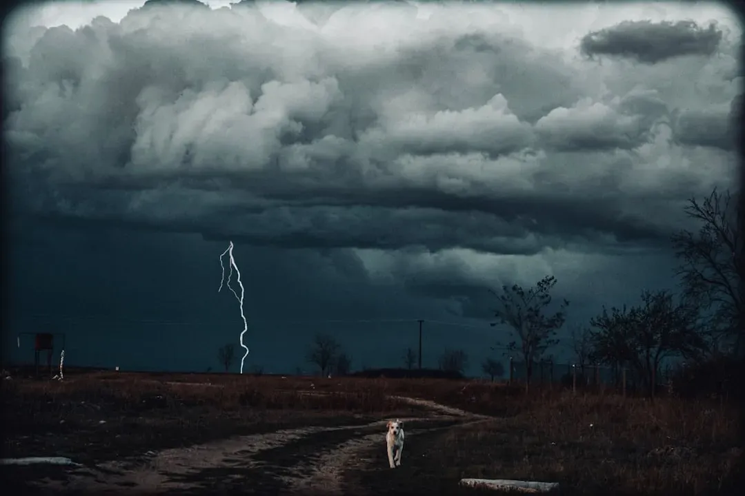 Thunderstorms and Fireworks (Image Credits: Unsplash)