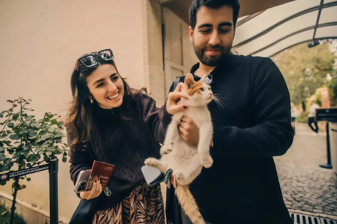 Feline Social Flexibility: More Adaptable Than You Imagine (Image Credits: Unsplash)