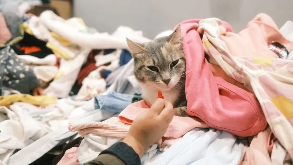 Your Clothes Hold Heat Better Than the Rest of the Bed (Image Credits: Pexels)