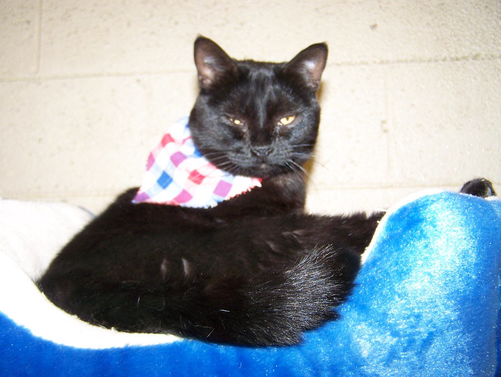 Libra: The Peace Makers (Image Credits: Flickr)