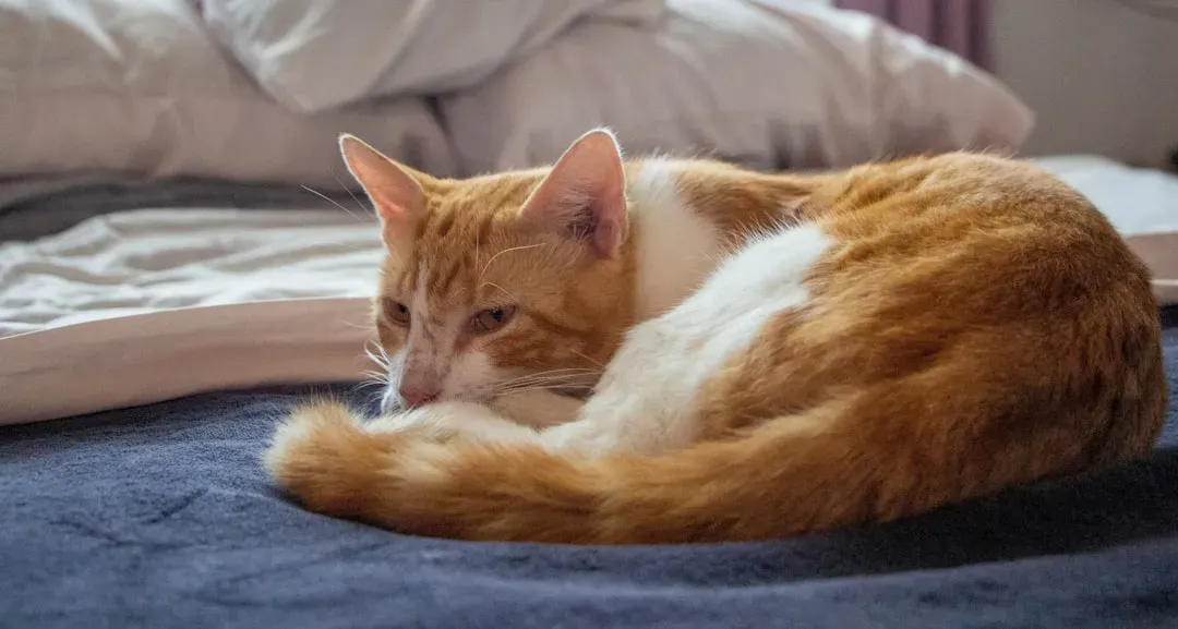 5. Subtle Changes in Posture and Body Language (Image Credits: Unsplash)