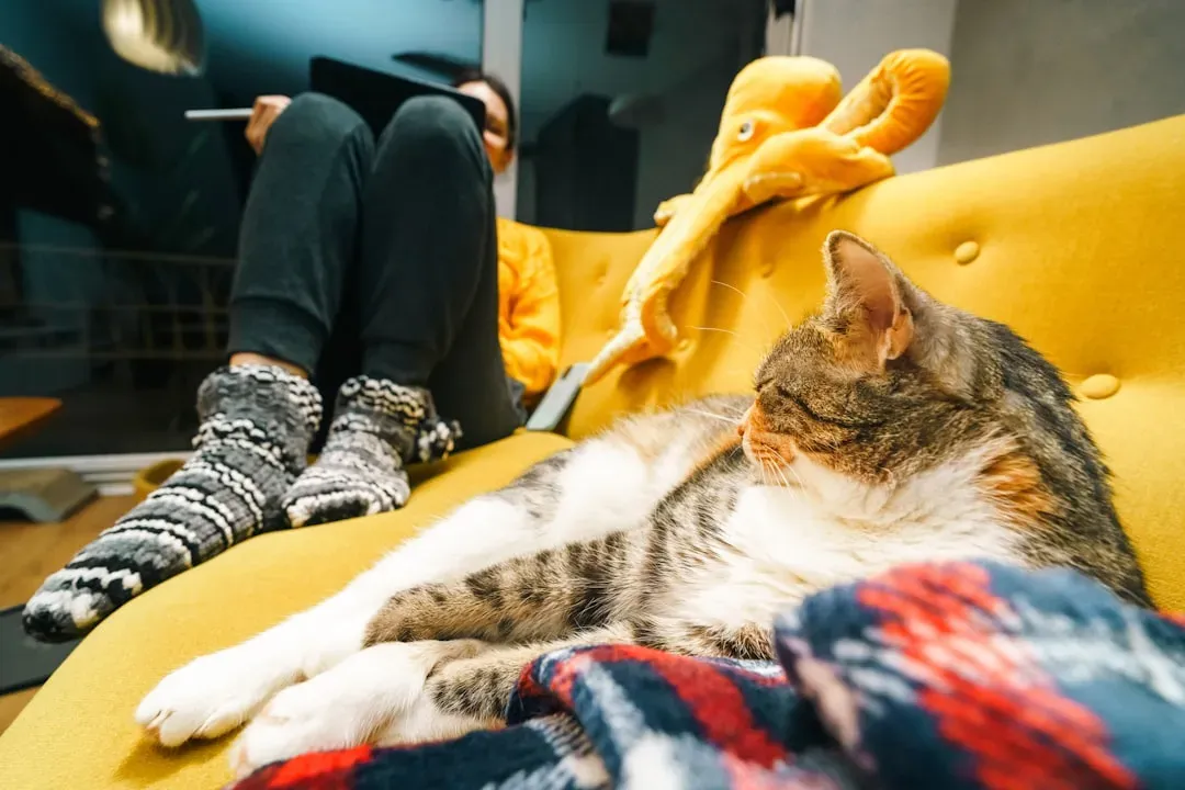 7. Sitting Near You But Not With You: Proximity Is Still Love (Image Credits: Unsplash)