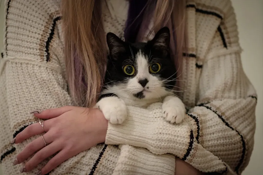 Your Cat Is Also Tracking Your Reliability and Consistency (Image Credits: Unsplash)
