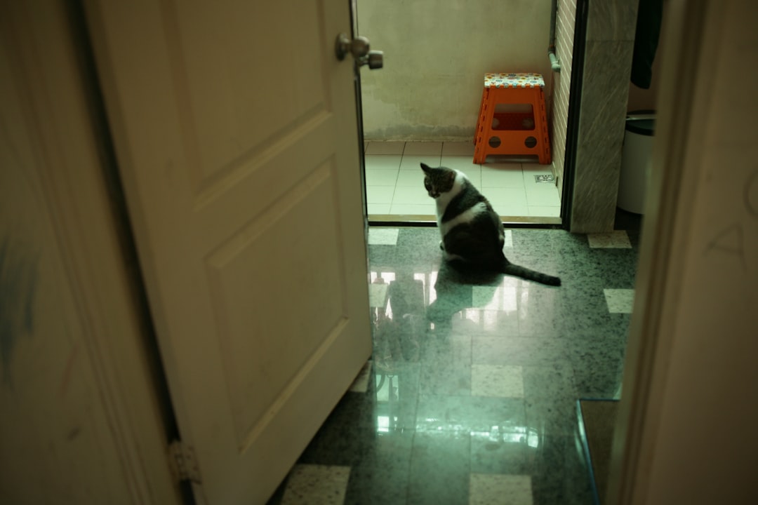 Bathroom Privacy Becomes Non-Existent (Image Credits: Unsplash)