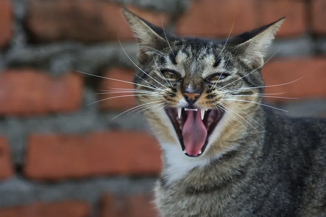 Growling: The Low Rumble of Warning (Image Credits: Unsplash)