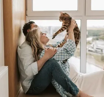 Balancing Love for Your Cat With Space for Human Connection (Image Credits: Pexels)