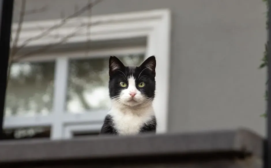 They Haven't Evolved to Obey - And That's Not a Bug, It's a Feature (Image Credits: Pexels)