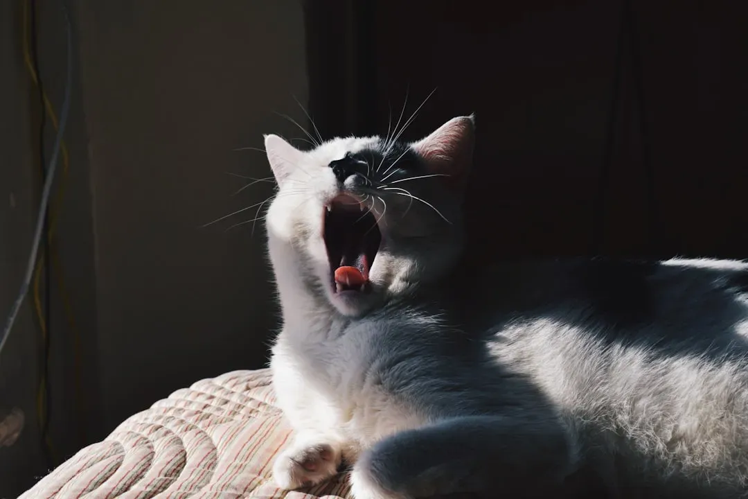 #11 - The Gurgle Greeting (Image Credits: Unsplash)