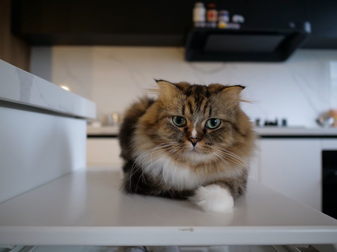 The Warmth Factor You Didn't Expect (Image Credits: Unsplash)