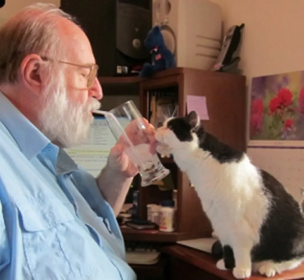 Calm Environments Appeal to Feline Sensibilities (Image Credits: Flickr)