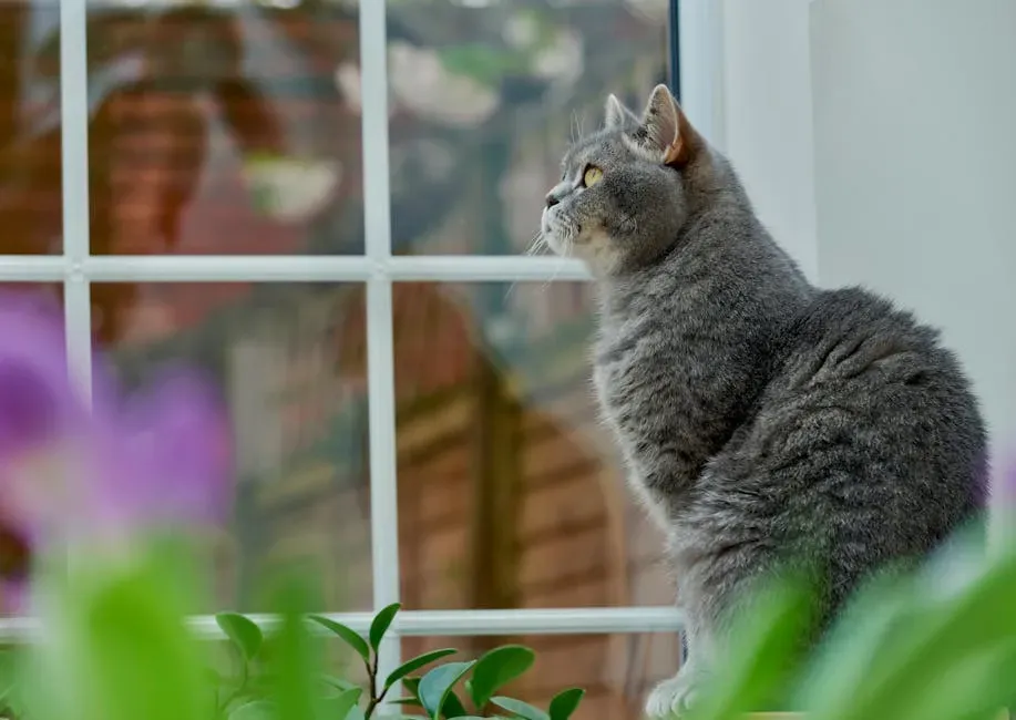 5. Chattering at Birds Through the Window (Image Credits: Pexels)