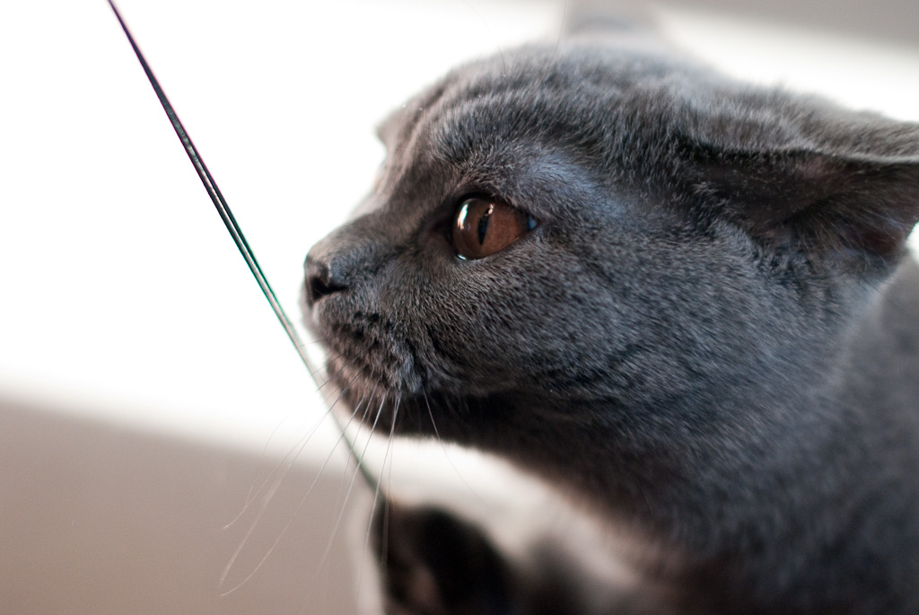 Low-Maintenance Nurturing Partners (Image Credits: Flickr)