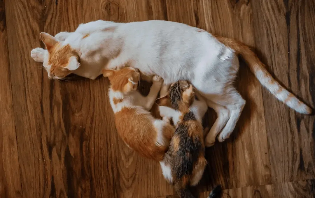 Synchronized Daily Routines (Image Credits: Unsplash)