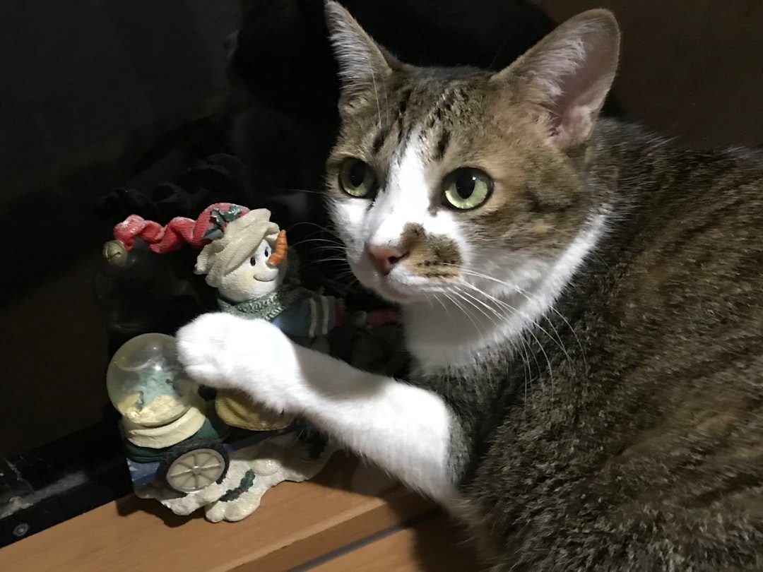 They Maintain Curiosity About Their Environment (Image Credits: Unsplash)