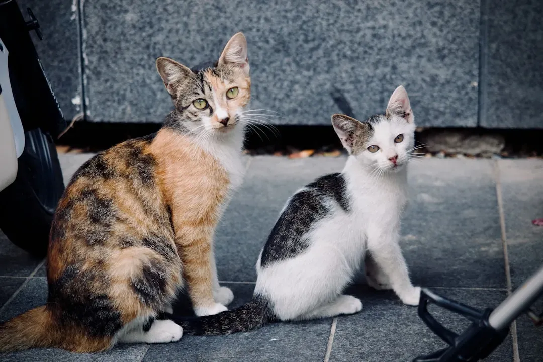 Health Differences You Should Know About (Image Credits: Unsplash)