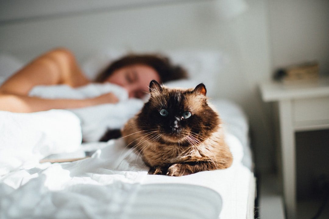 The Dawn Chorus: Why Your Cat Becomes a Morning Alarm Clock (Image Credits: Unsplash)