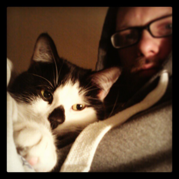 They Sleep Near or With You (Image Credits: Flickr)