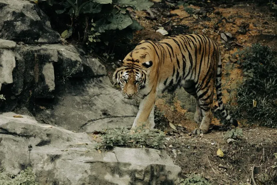 #7. Their legs are built for ambush, not marathon chases (Image Credits: Pexels)
