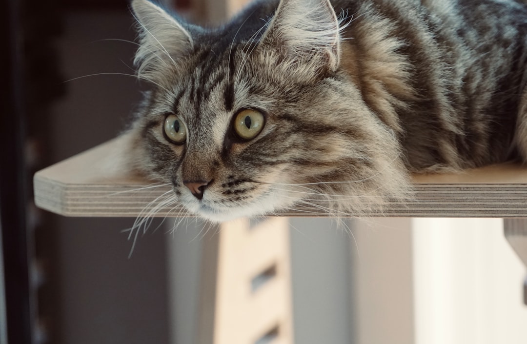 Breaking Established Daily Routines (Image Credits: Unsplash)