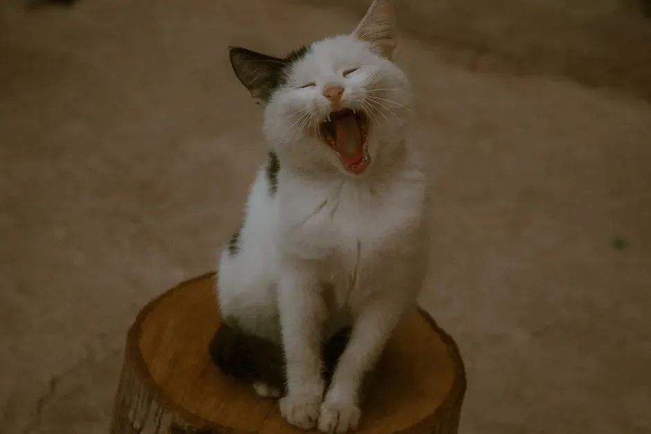 #6 - Soft Chirps, Trills, and Greeting Sounds (Image Credits: Pexels)