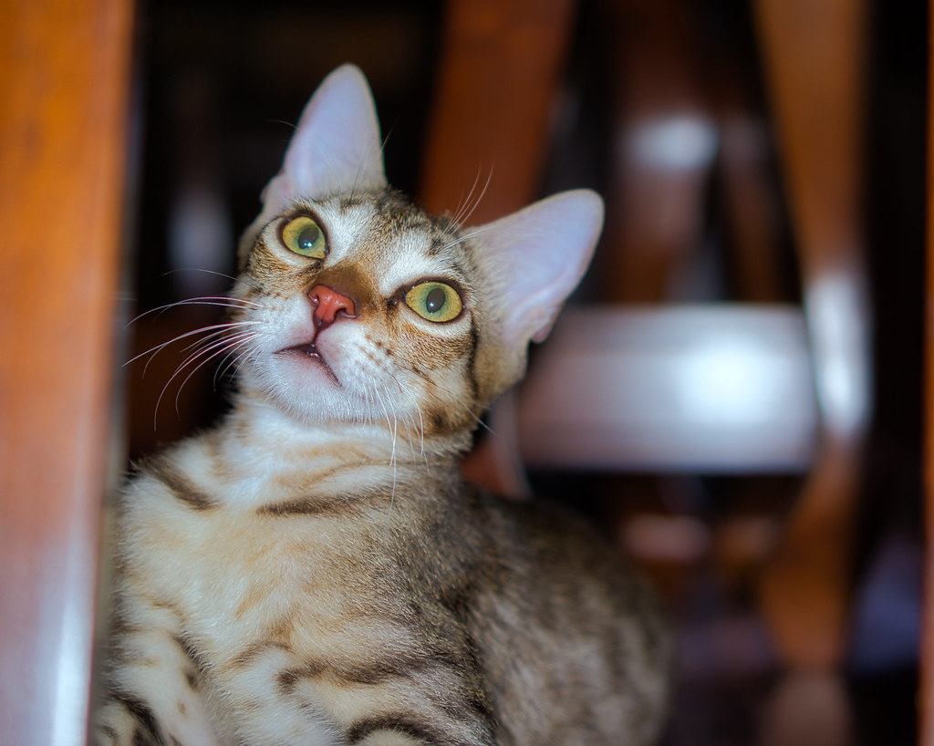 Bouncing Back from Physical and Emotional Setbacks (Image Credits: Flickr)