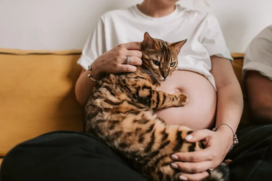 Myth 11: Pregnant Women Must Get Rid of Their Cats (Image Credits: Pexels)