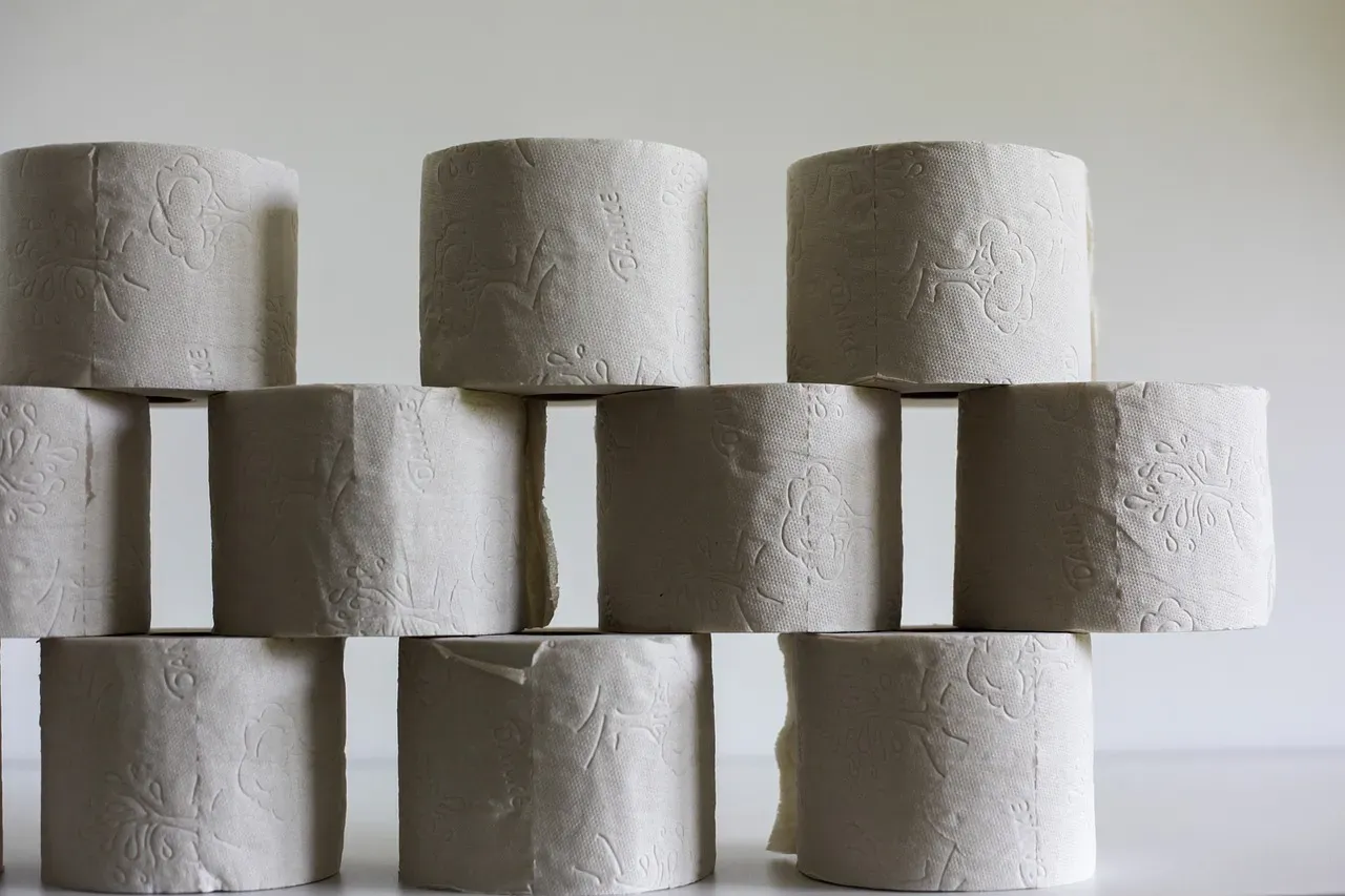 7. The Toilet Paper Roll Pyramid Puzzle Feeder (Image Credits: Pixabay)