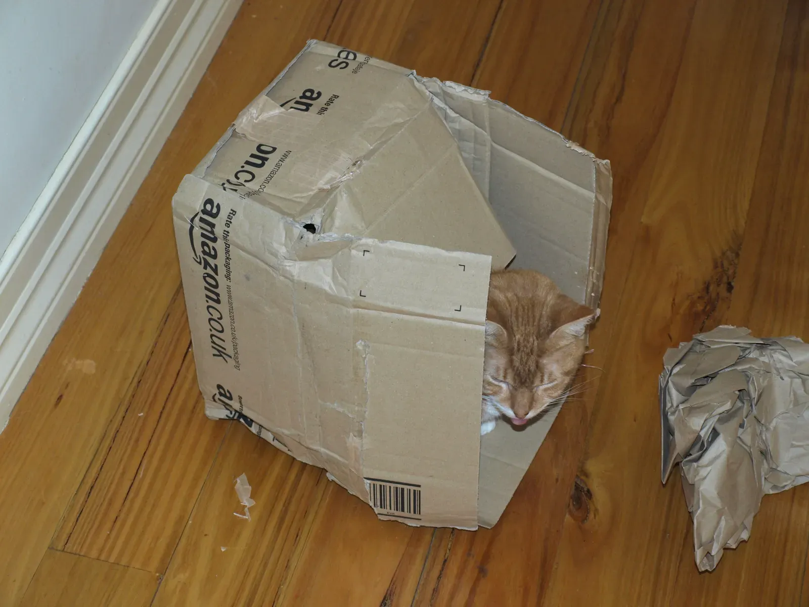 The Perfect Temperature Control System (Image Credits: Wikimedia)