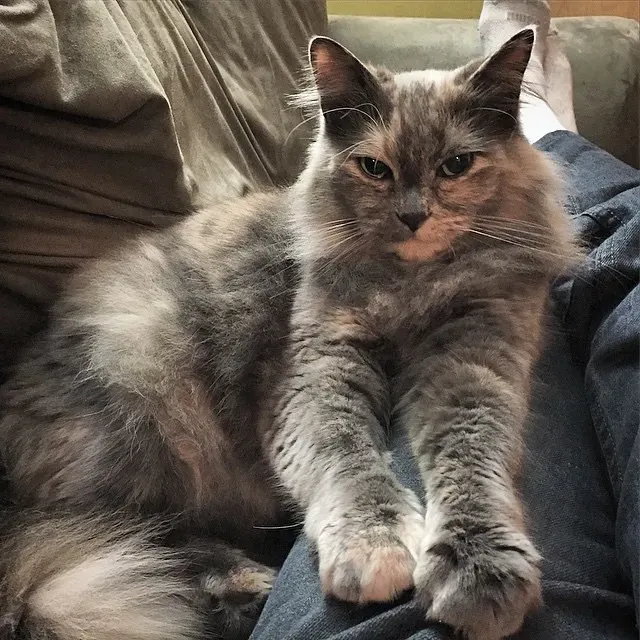 Sometimes It Means More Attention Is Needed (Image Credits: Flickr)