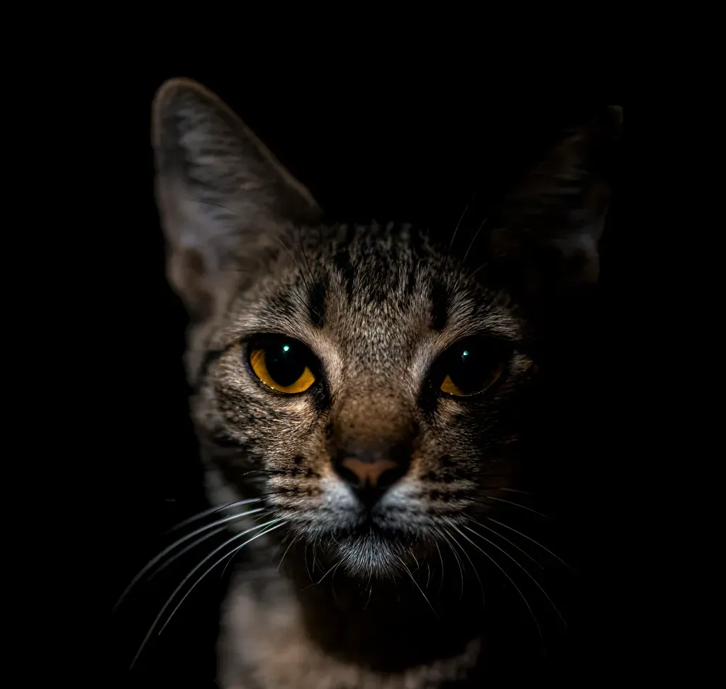 Conclusion (Image Credits: Flickr)