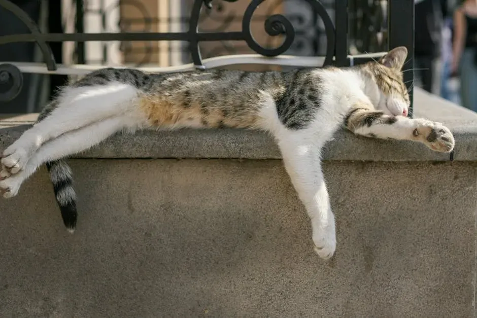 The Biology Behind Your Afternoon Energy Crash (Image Credits: Pexels)