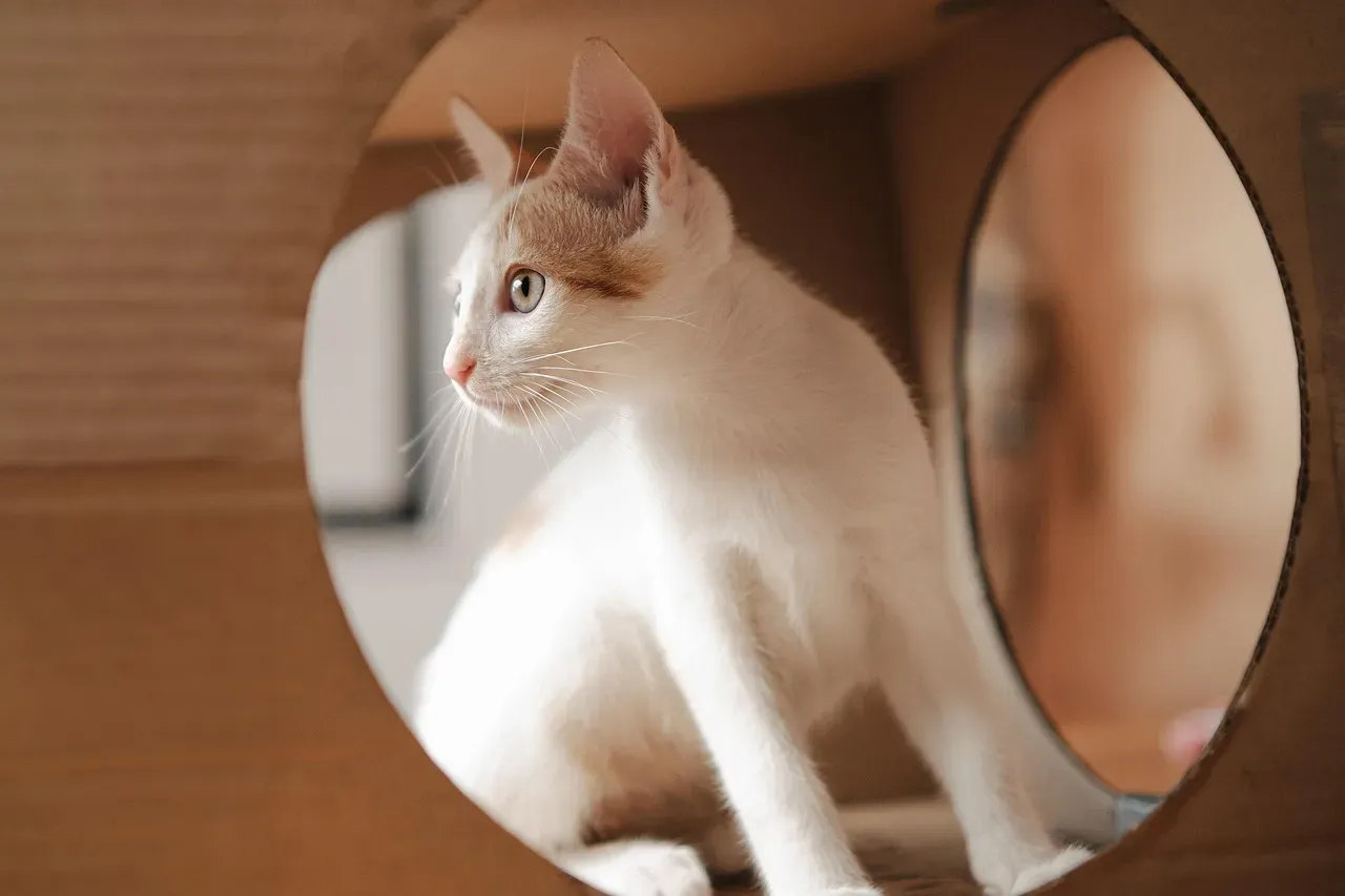 Conclusion (Image Credits: Pixabay)