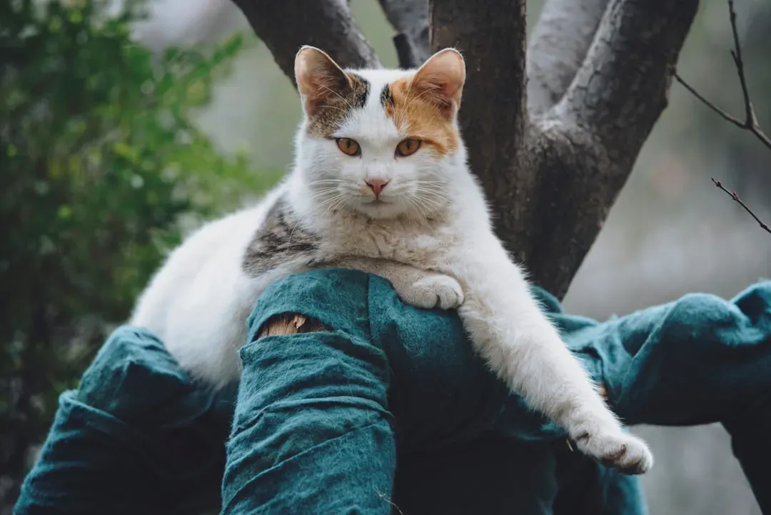 Why Understanding This Matters (Image Credits: Unsplash)