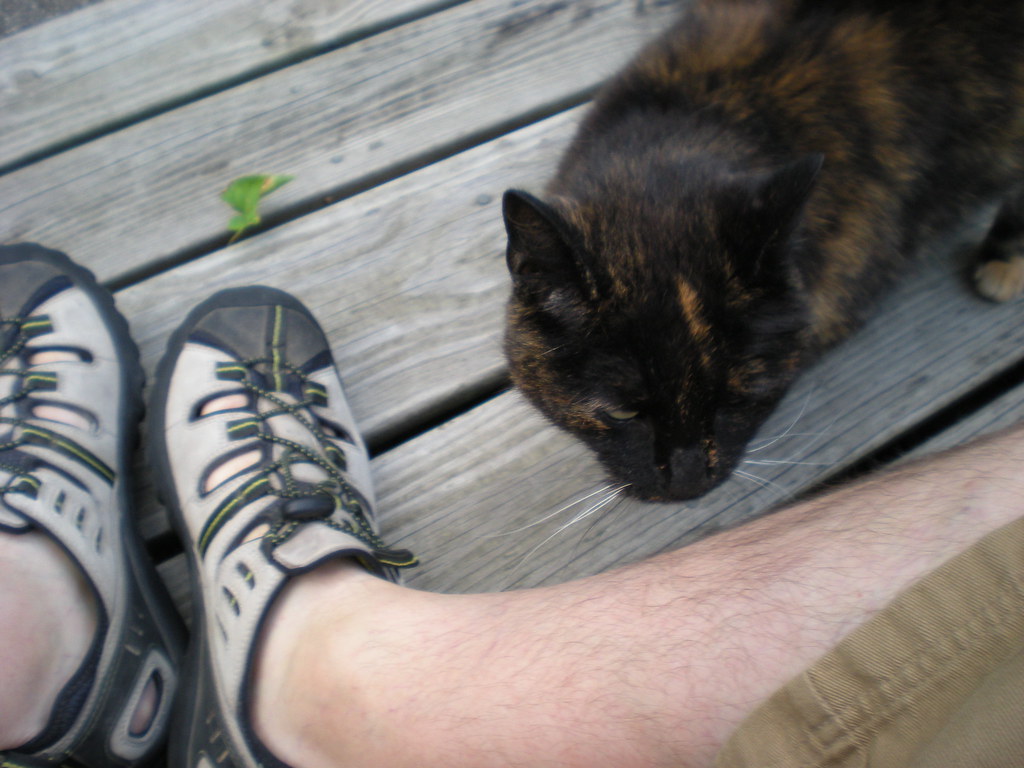 Be Consistent and Patient with Your Efforts (Image Credits: Flickr)