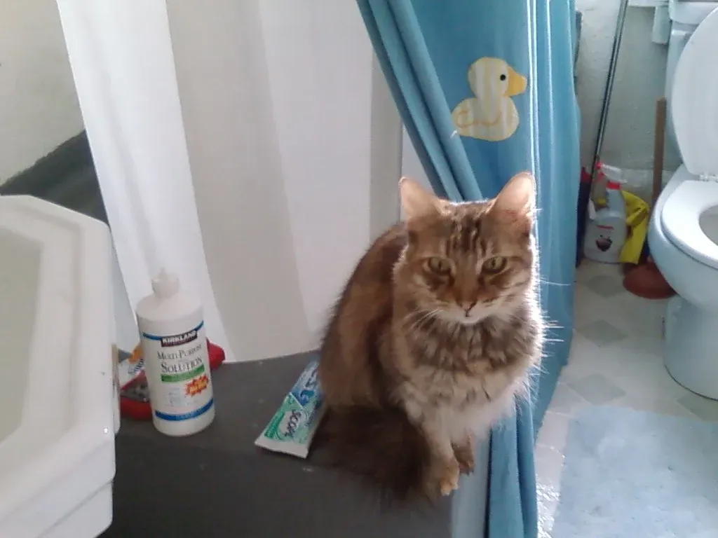 You're Finally Sitting Still (Image Credits: Flickr)