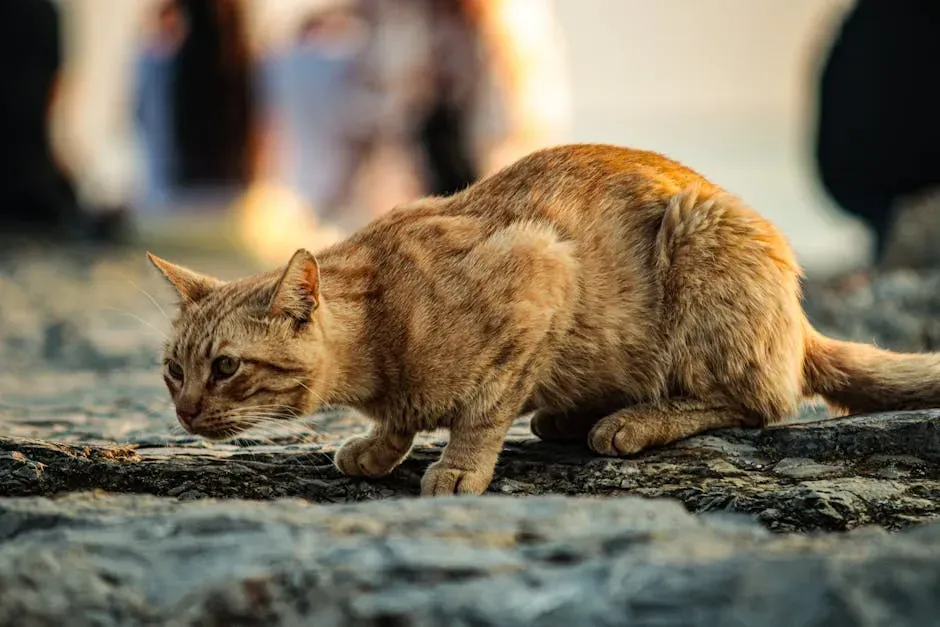 The Hunting Instinct Also Plays a Role (Image Credits: Pexels)